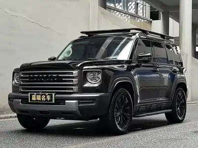 Haval Meng Long NEV 2024