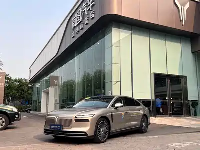 Voyah Auto Zhuiguang L 2025