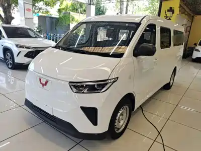 Wuling Motors Yangguang 2025