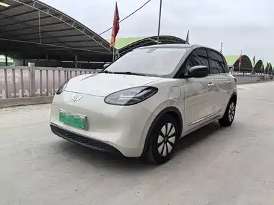 Wuling Motors Bingo 2023