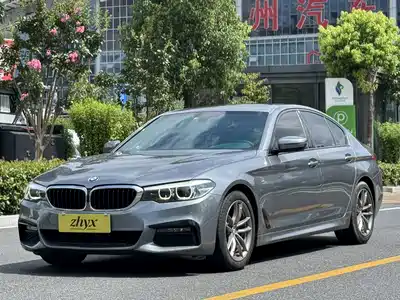 BMW 5 Series (Import) 2019