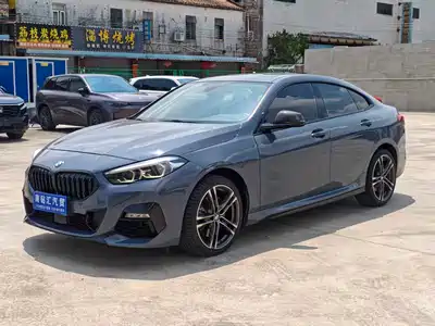 BMW 2 Series (Import) 2021
