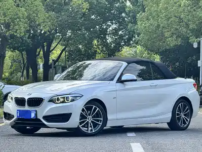 BMW 2 Series (Import) 2018