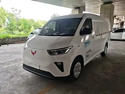 Wuling Motors Yangguang 2024