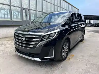 GAC Trumpchi M8 2020