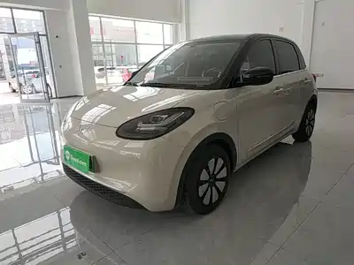Wuling Motors Bingo 2024