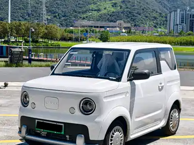 Ruilan Auto Blue Elf 2026