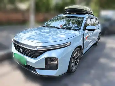 Baojun Valli 2021