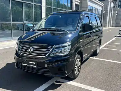 Dongfeng Fengxing Lingzhi 2020