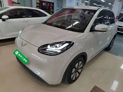 Wuling Motors Bingo 2024