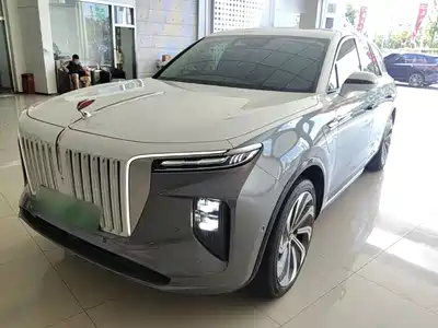 Hongqi E-HS9 2022