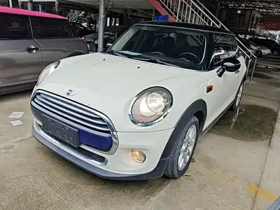 MINI MINI 2014