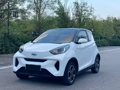 QQ New Energy Little Ant 2021