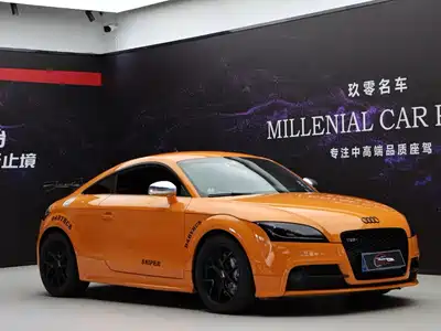Audi TTS 2013
