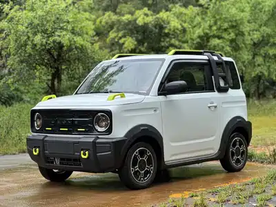 Geely Galaxy Panda 2024