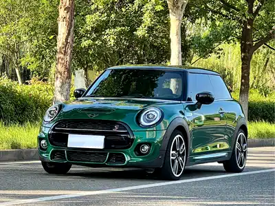 MINI MINI 2021