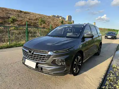 Wuling Motors Victory 2021