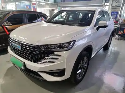 Haval H6 New Energy 2022