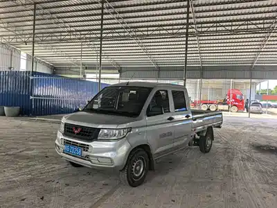 Wuling Motors Rongguang New Truck 2019