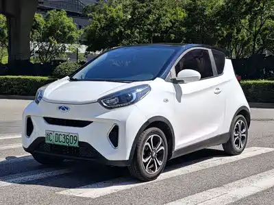 QQ New Energy Little Ant 2020