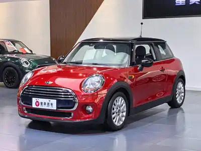 MINI MINI 2014