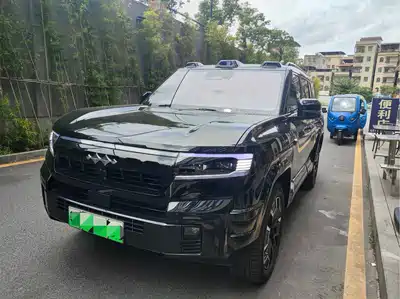 Fang Cheng Bao Leopard 8 2024