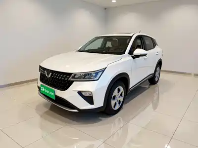 Wuling Motors Xingchi 2023
