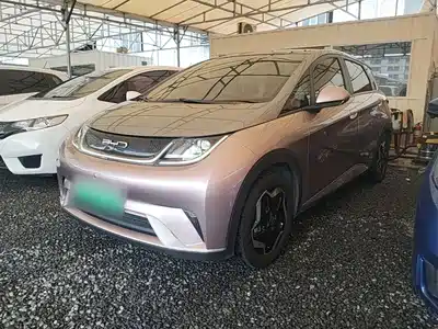 BYD Dolphin 2022