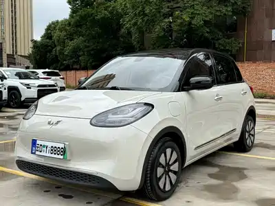 Wuling Motors Bingo 2024
