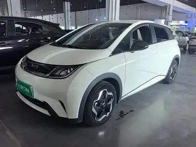 BYD Dolphin 2024