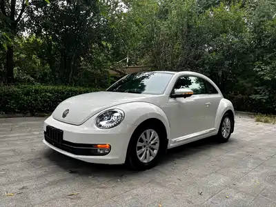 Volkswagen Beetle 2014