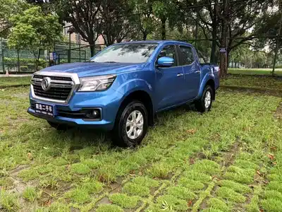Dongfeng Rich 6 2020