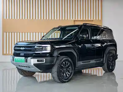 Fang Cheng Bao Leopard 5 2024