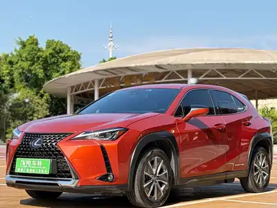 Lexus UX300e 2020