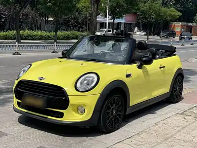 MINI MINI 2017