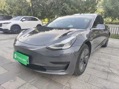 Tesla Model 3 2020
