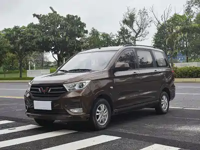 Wuling Motors Hongguang 2019