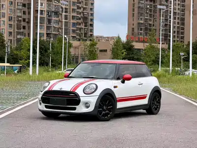 MINI MINI 2015