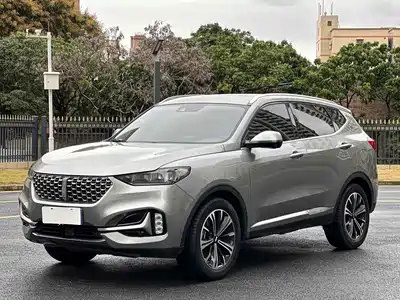 WEY VV6 2021