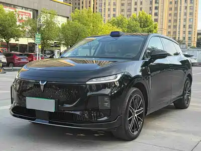 Voyah Auto Zhiyin 2025