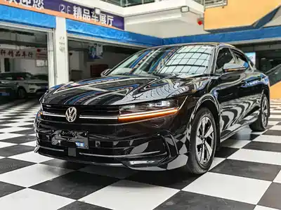 Volkswagen Magotan 2024