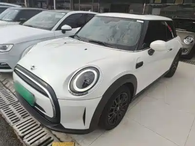MINI MINI 2024