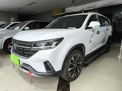 Dongfeng Fengxing T5L 2019