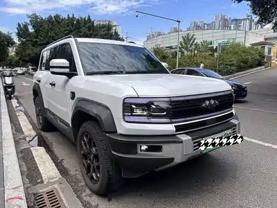 Fang Cheng Bao Leopard 5 2024