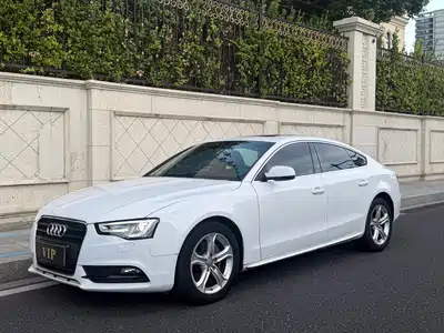 Audi A5 (Import) 2014