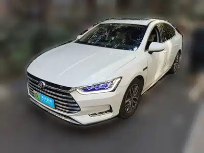 BYD Qin Pro New Energy 2019