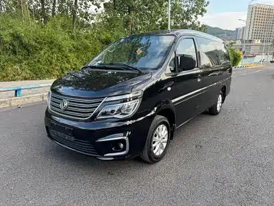 Dongfeng Fengxing Lingzhi 2020