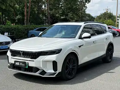 Voyah Auto FREE 2024
