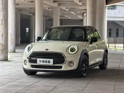MINI MINI 2018