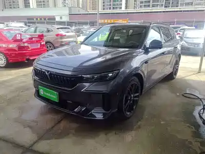 Voyah Auto FREE 2024
